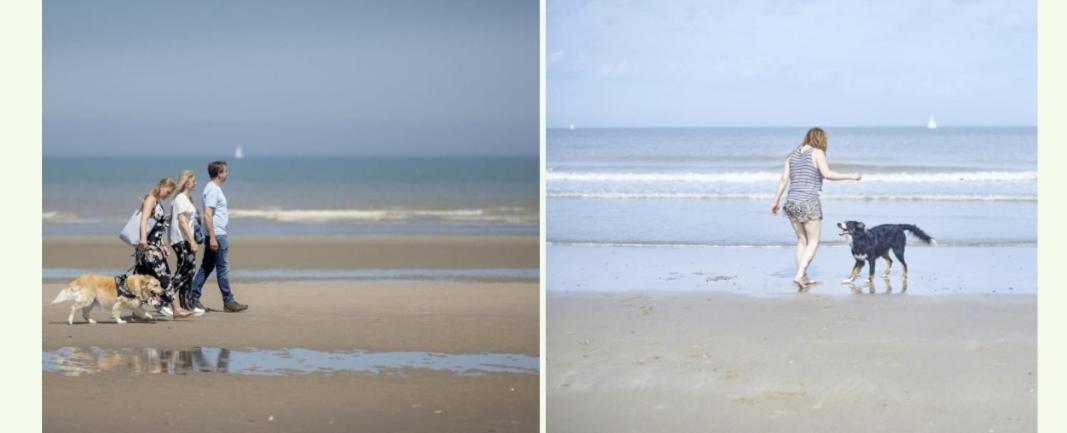 Strandchalet Bredene Zewnętrze zdjęcie