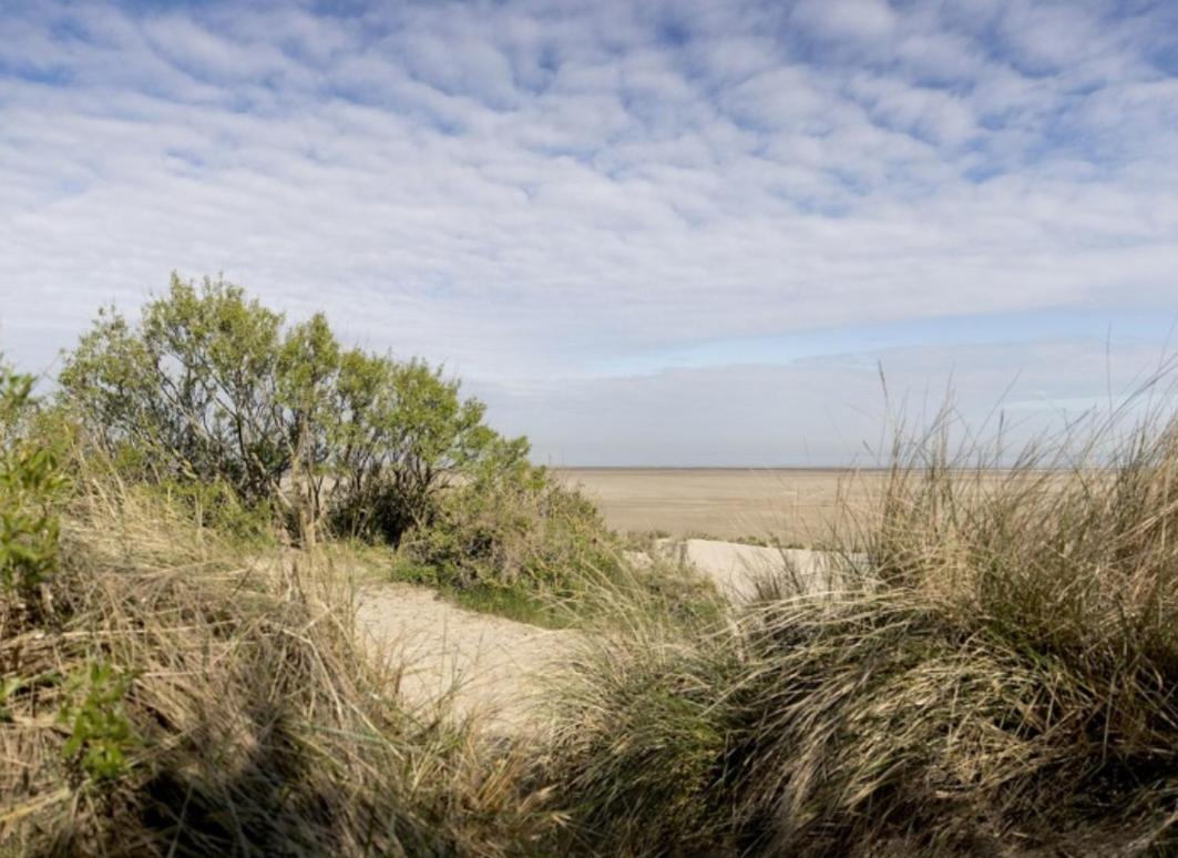 Strandchalet Bredene Zewnętrze zdjęcie